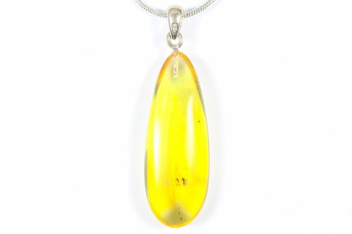 Polished Baltic Amber Pendant (Necklace) - Contains Fly! #368902
